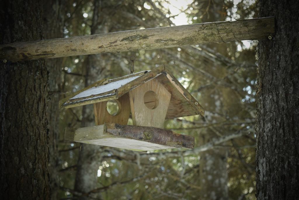 Chalet Pokljuka Goreljek Exteriér fotografie